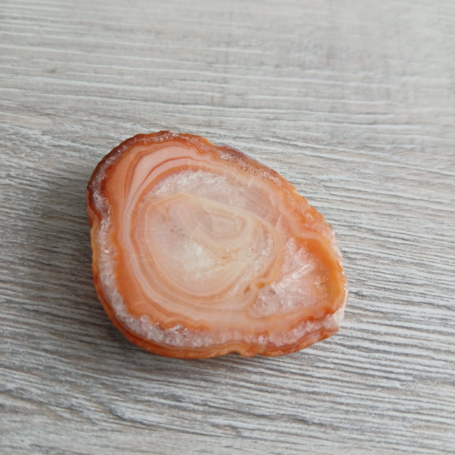 Versteend hout – Aarding & Geduld (12.072)