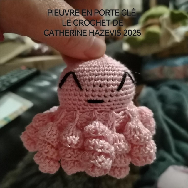 2025 PIEUVRE EN PORTE CLÉ 