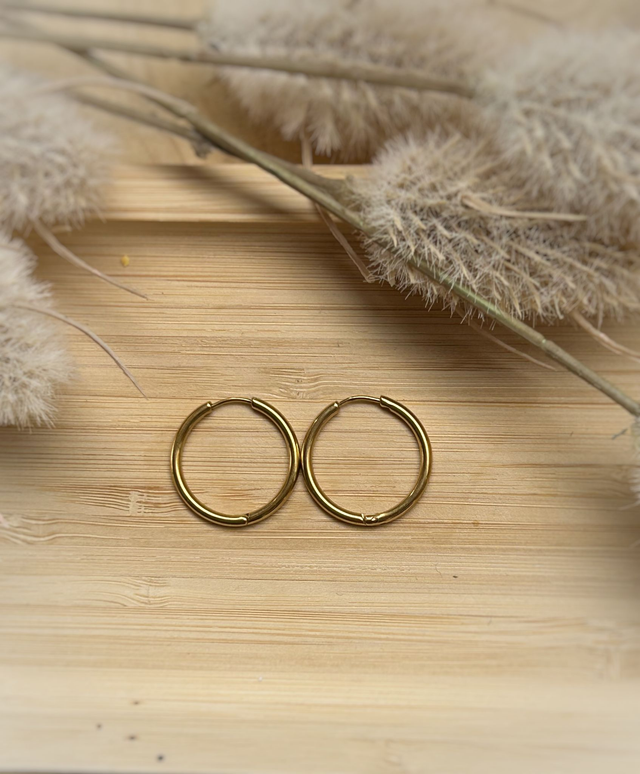 Créoles rondes 20 mm - Fil 2 mm - Acier Inoxydable  Doré (x2)