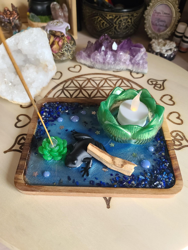 Plateau de fumigation 🐸 Métamorphose de la grenouille rectangulaire