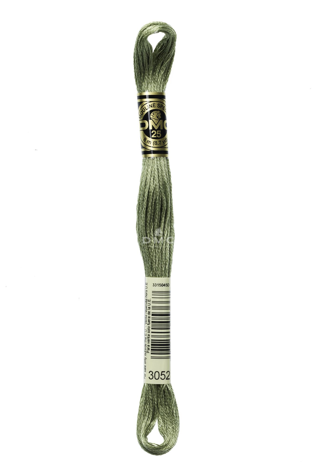 N°3052 Mouliné Spécial DMC