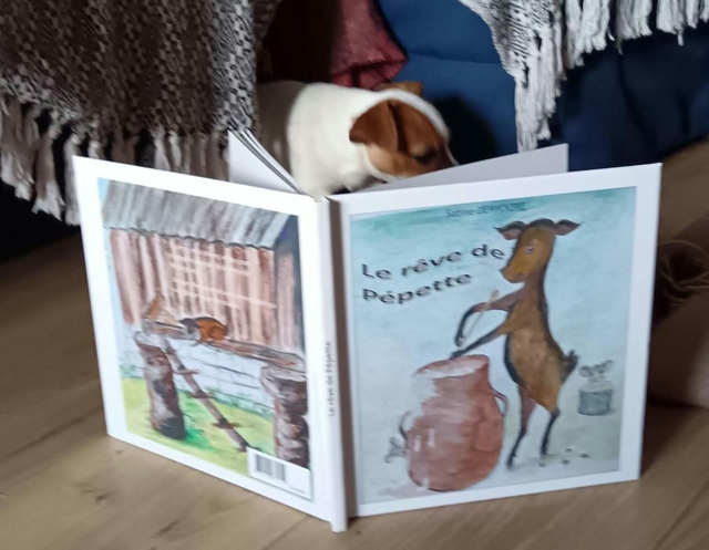 Le rêve de Pépette 