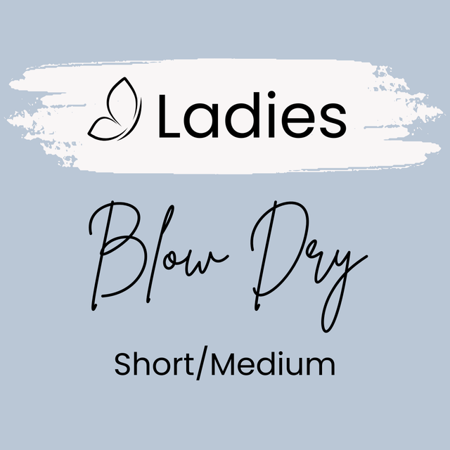 Blow Dry - Short/Medium