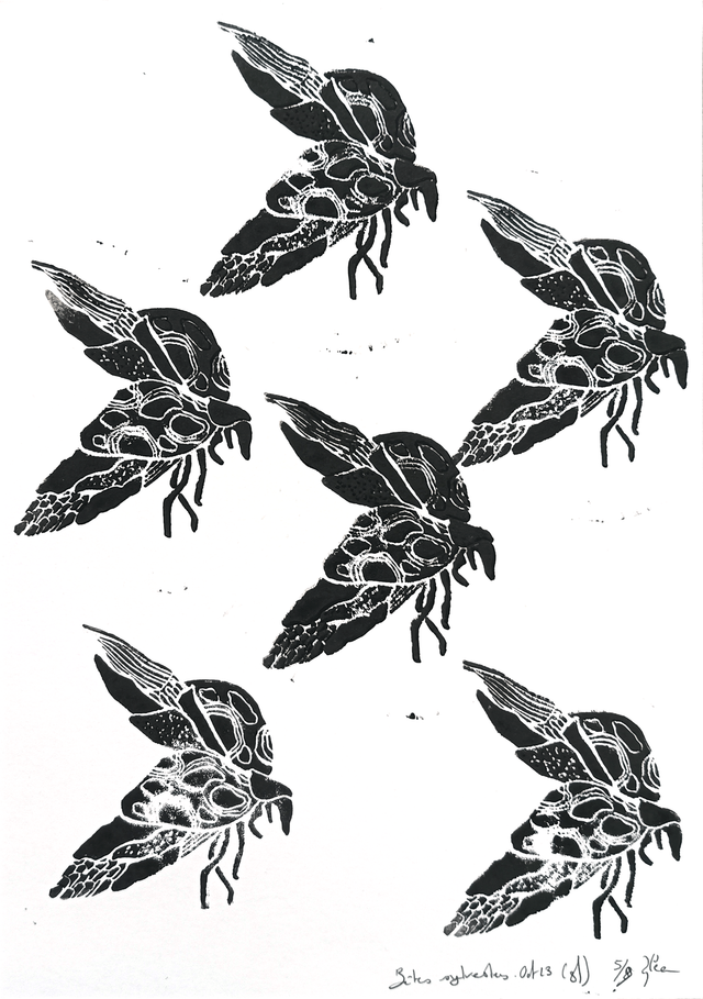 Bêtes sylvestres A4 5/9