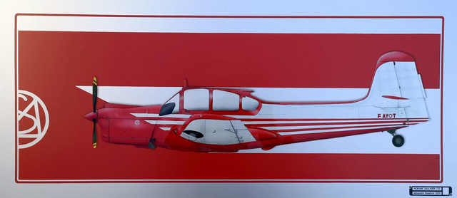 PA44 "Morane saulnier 733"