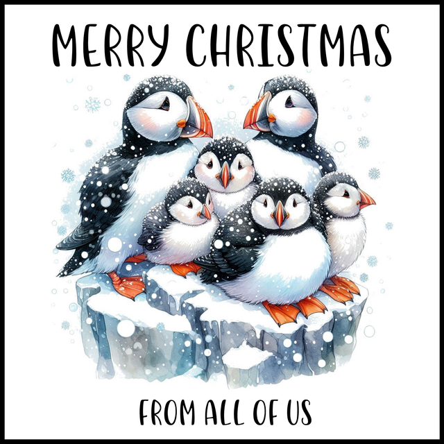 102A - CHRISTMAS CARD - PUFFIN ALL OF US
