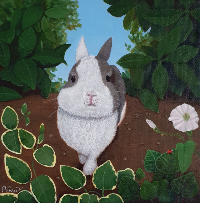 MIKY DANS SON JARDIN