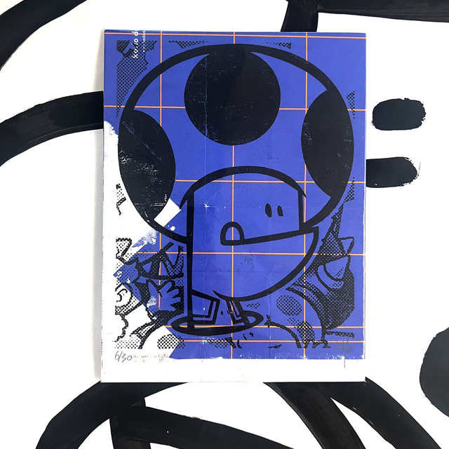 Xylo TOAD Purple squares 18x24 cm sans cadre