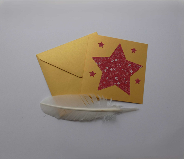 Une étoile de Noël