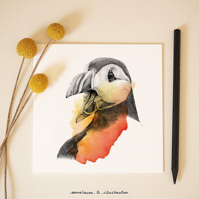 Carte &quot;Macareux&quot;