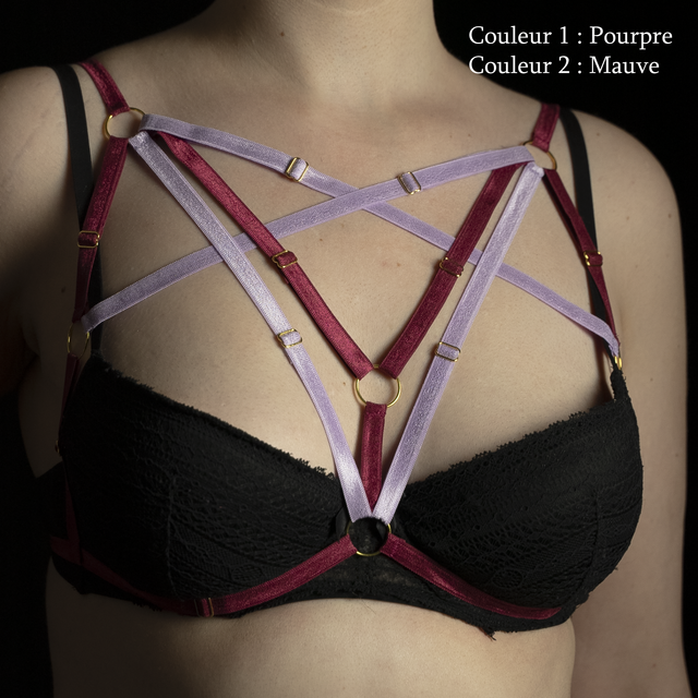 Harnais [Mix&amp;Match] - Buste - HC-006 - Bicolore