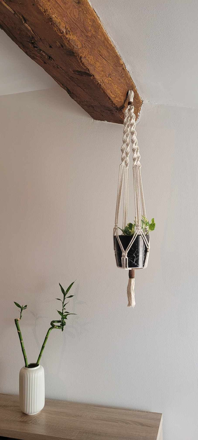 Suspension pour plante modèle &quot;Anthurium&quot;