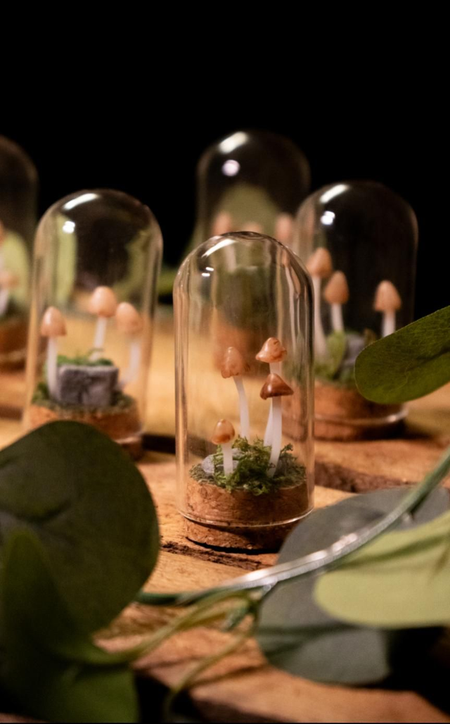 Minis champignons Psathyrelles [sur commande]