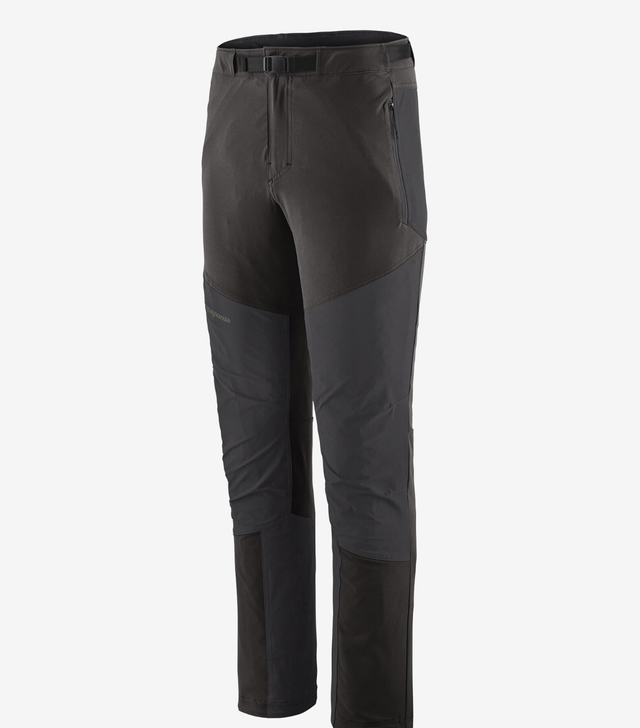 M's Altvia Alpine Pants