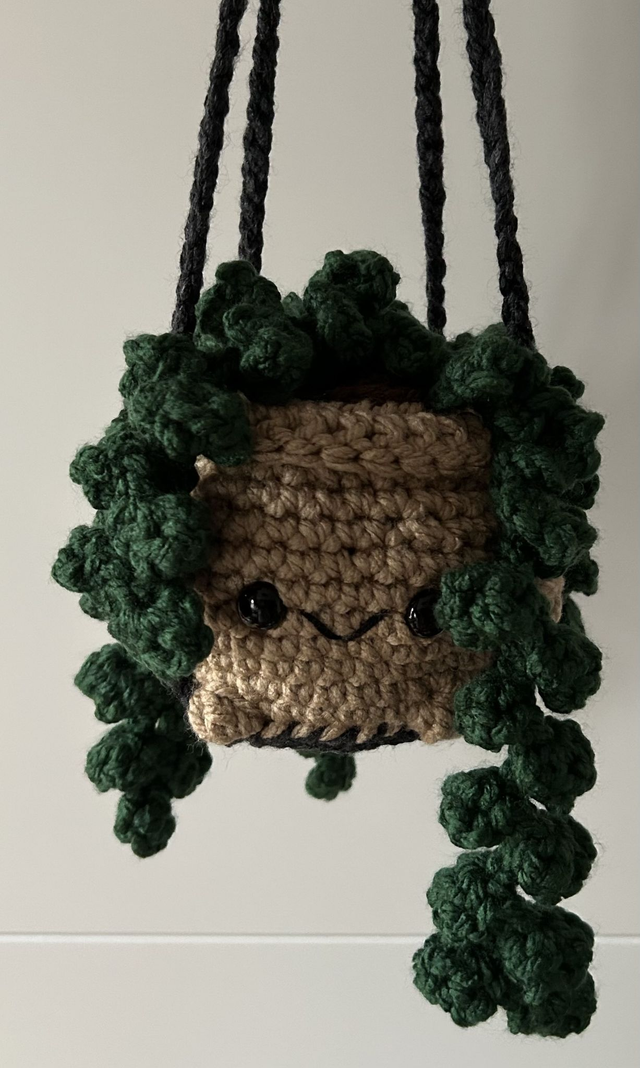 Mittlere Hängepflanze