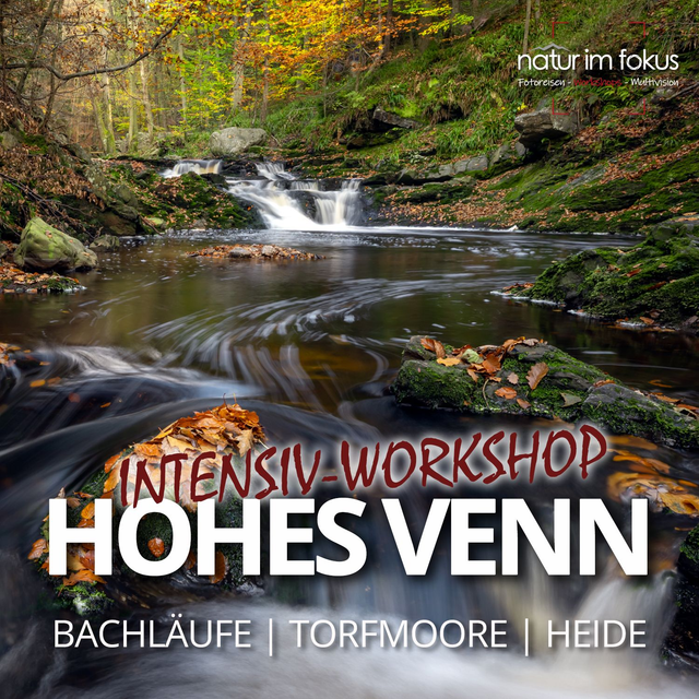 Anzahlung Intensiv-Workshop Hohes Venn – Hoëgne & Hochmoor Zusatztermin – 29.04.-01.05.2026