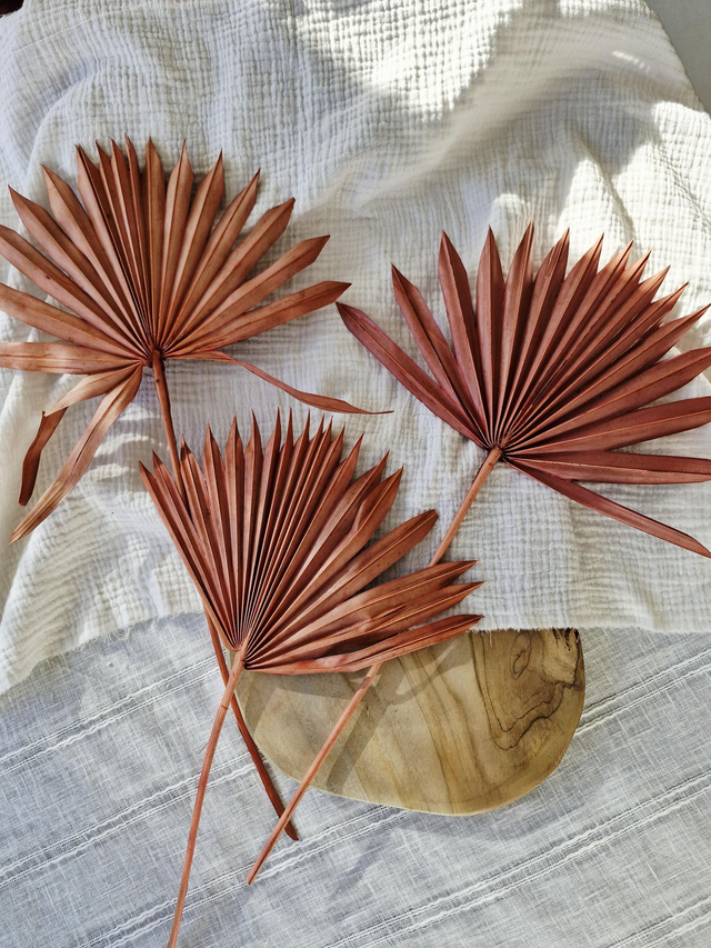 Vide atelier - Palmes séchées rose