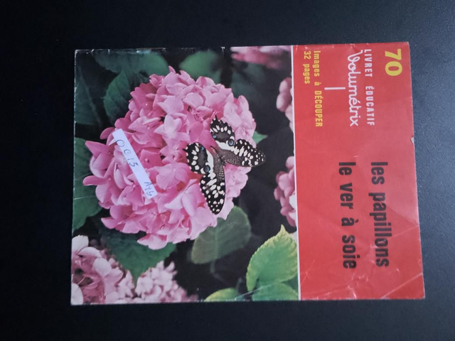 Les papillons et les vers à soie