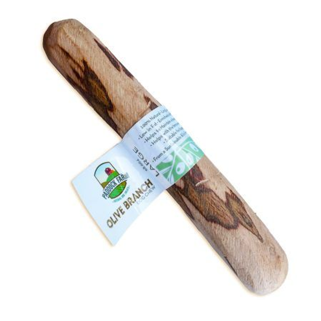 Origins Olive Branch