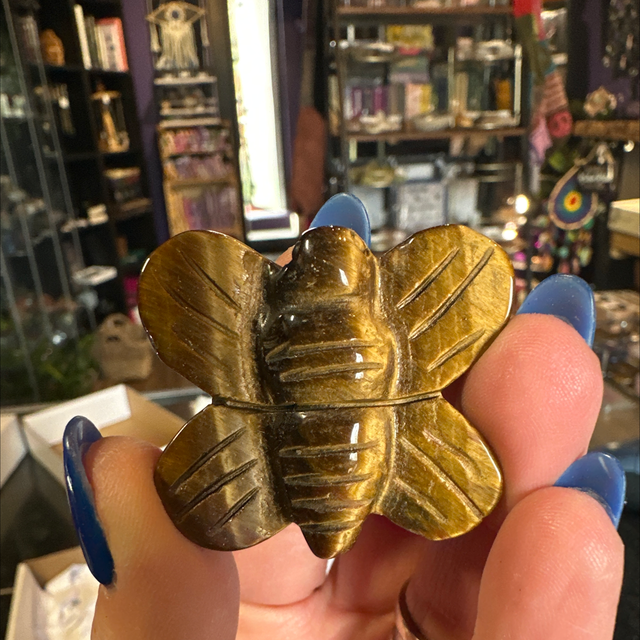 Tiger eye bumblebee 