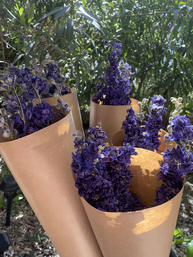 Botte delphinium violet