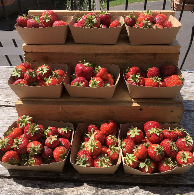 Barquette fraise 250gr