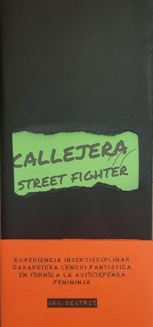 Callejera Street Fighter - Ana Beatriz