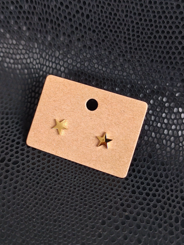 Edelstahl Ohrstecker | Stern gefüllt | Gold 