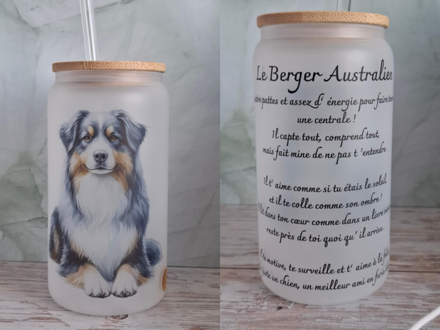 Givré Le berger australien