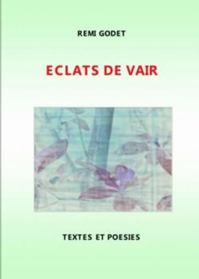"Eclats de Vair" de Rémi GODET