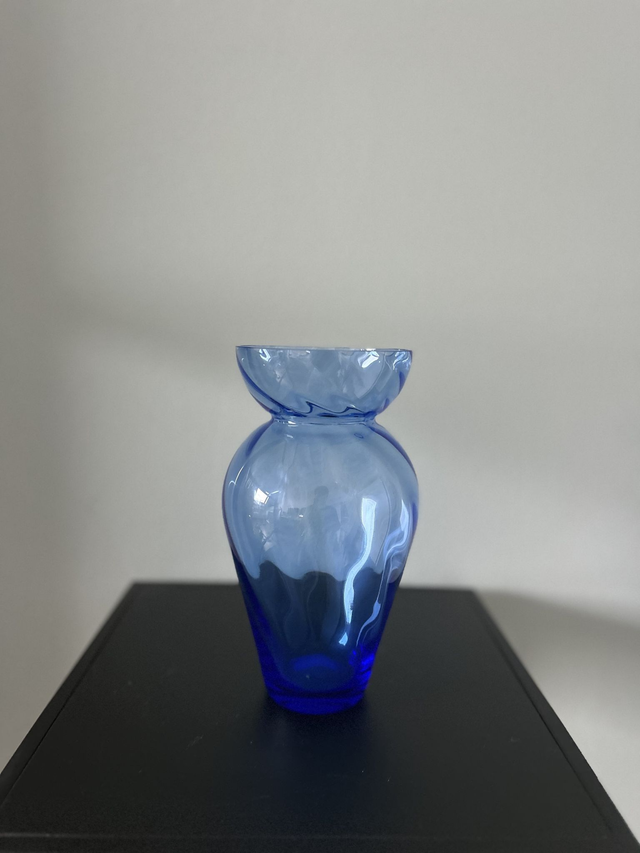 (Helft van) DubbelVaas Willem Noyons blauw