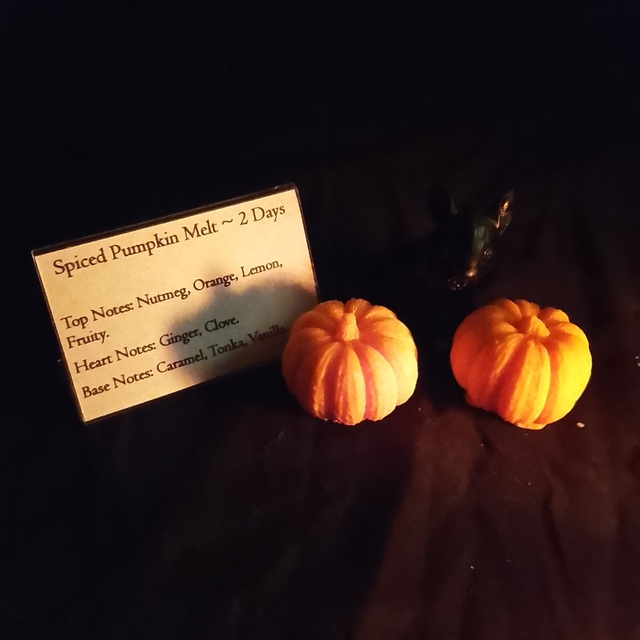 Spiced Pumpkin Melt - 25g