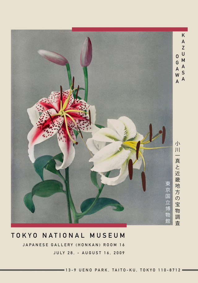 Two White Lily Exhibition Poster