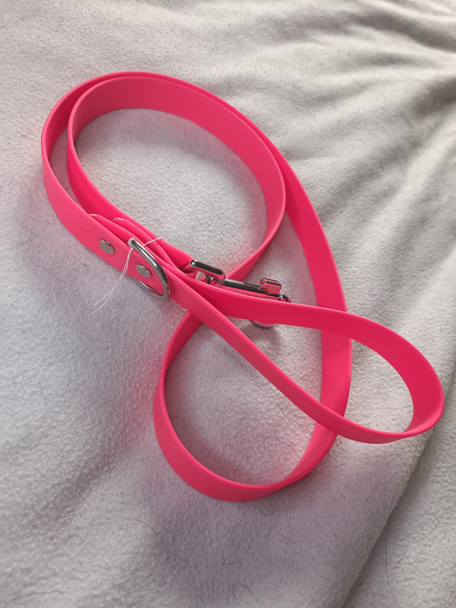 Laisse biothane 25mm