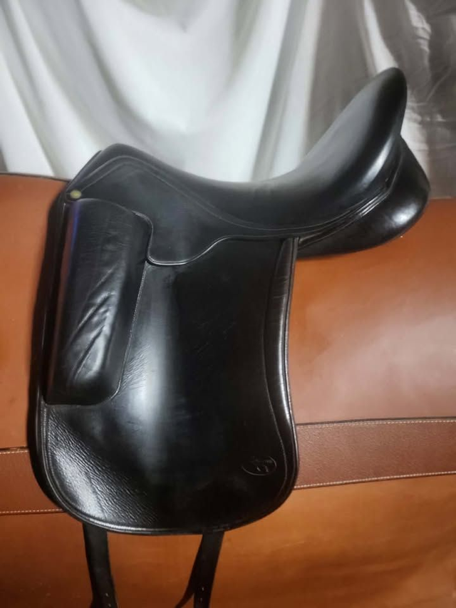 selle de dressage Aulion - 17'5 - 2019 - occasion