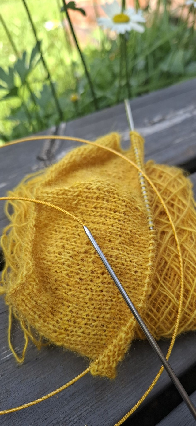 TKB Pyöröpuikot Gold Line 120 cm – Kultatason Neulekokemus