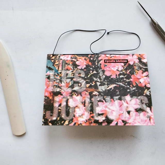 Cyrielle Levêque Les Joueurs 