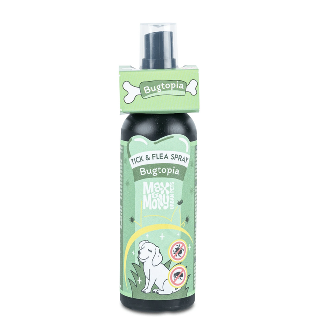 Bugtopia Max & Molly