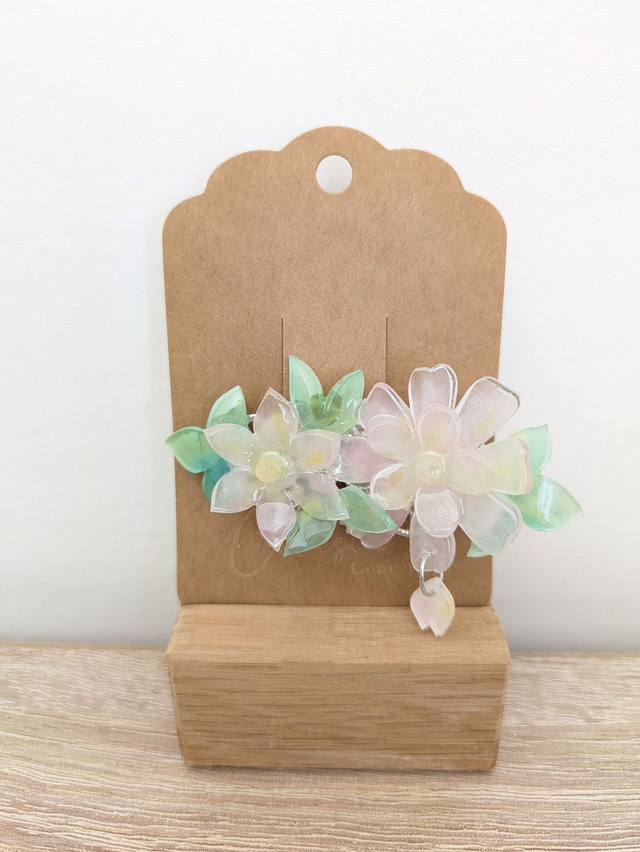 Barrette Cosmos double