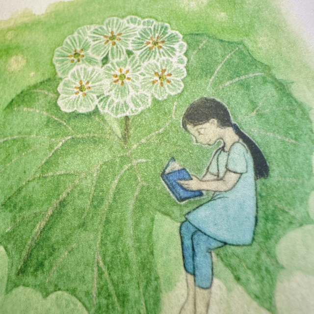 Herbarium - Diphylleia grayi