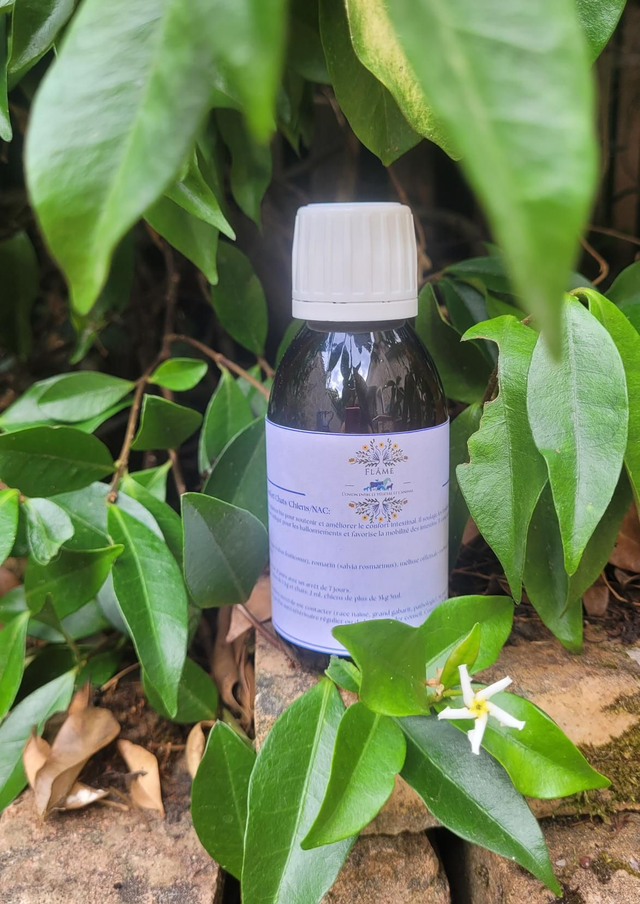 Transit confort Chats/Chiens/NAC