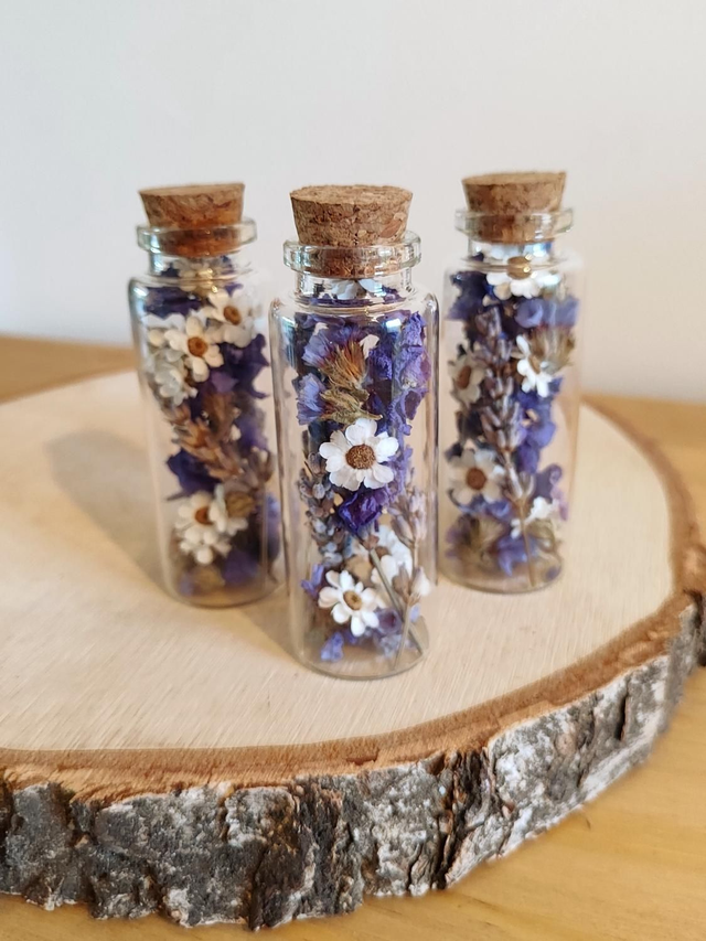 Antidote floral étoilé - Calypso