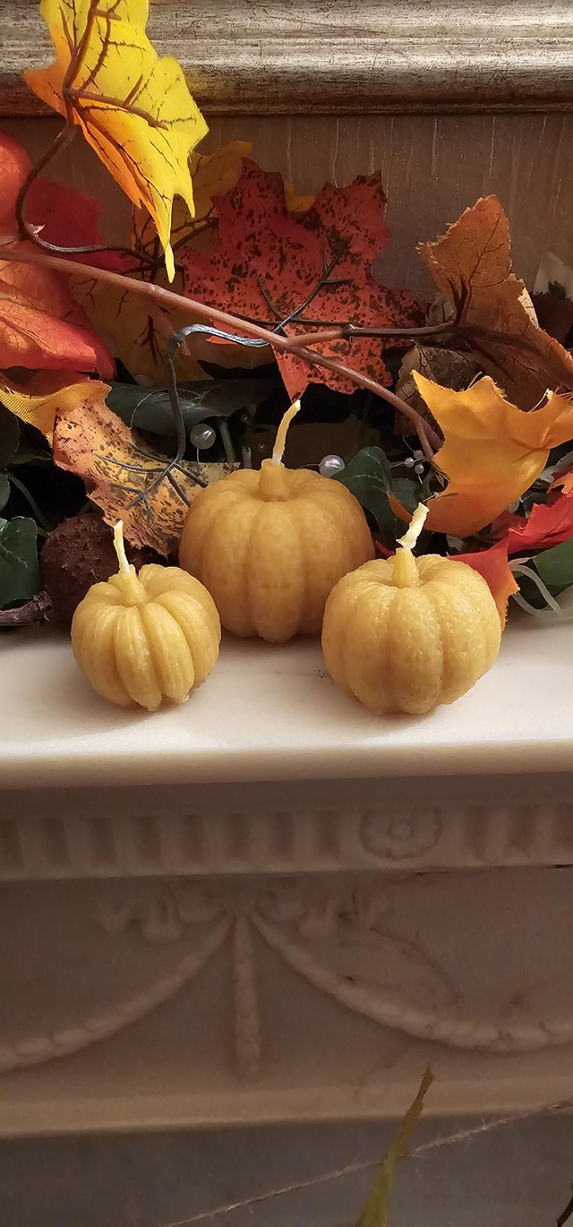 Trio of Beeswax Pumpkin Candles