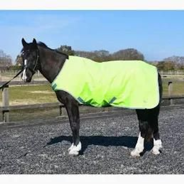 Rhinegold Lunge Walker Waterproof Rug