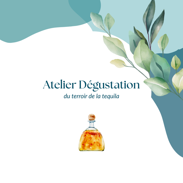 Dégustation découverte du terroir de la tequila