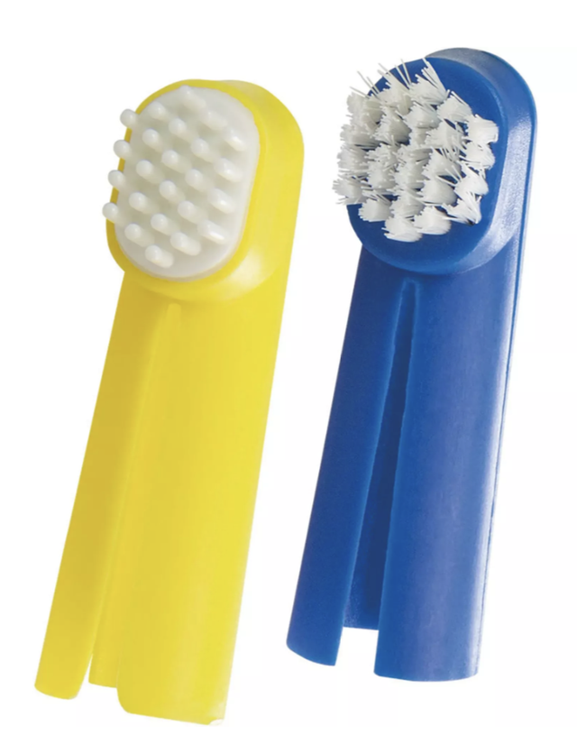 Dental Care Zahnbürsten-Set Trixie