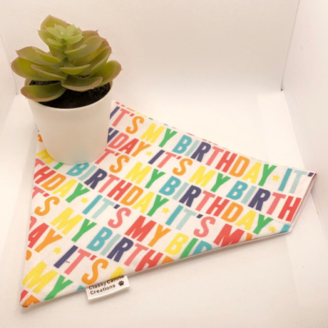 Birthday Bandana/bow tie