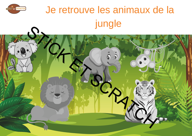Animaux de la jungle