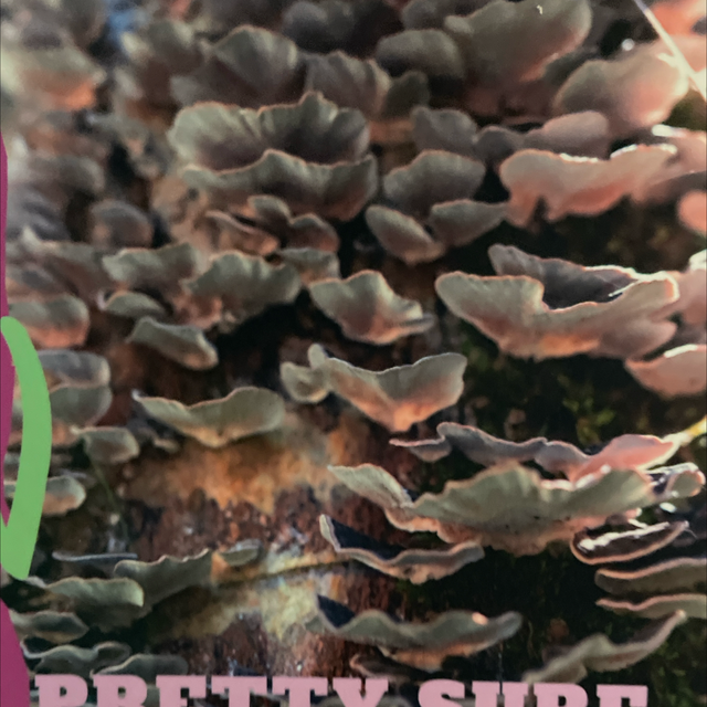 Pretty Sure This Plant Is Queer