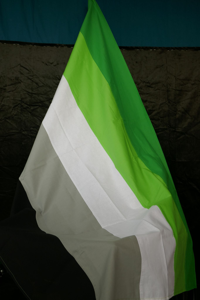 Drapeau de pride
